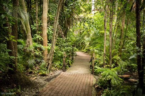May 2017 Jungle Gardens Field Trip The Photographic Art Society Of
