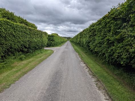 Fine Hedges At Mey © David Medcalf Cc By Sa20 Geograph Britain And