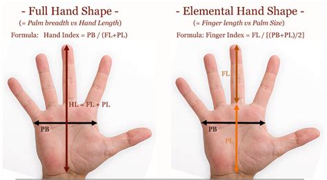 Elemental Hand Shape Assessment 20 Finger Length Vs Palm Size