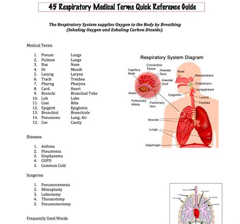 New Respiratory Medical Terminology Reference Card Ready For Download