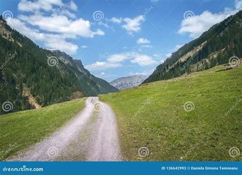 Alpine Road Through Pastures In The Swiss Alps Stock Image Image Of