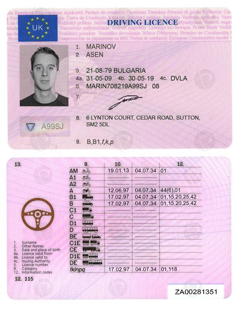 Get, renew, replace, or update a wa state driver license or id card, purchase your driving record, and learn about license suspensions and driving safety. California Drivers License Template Download - forevernew