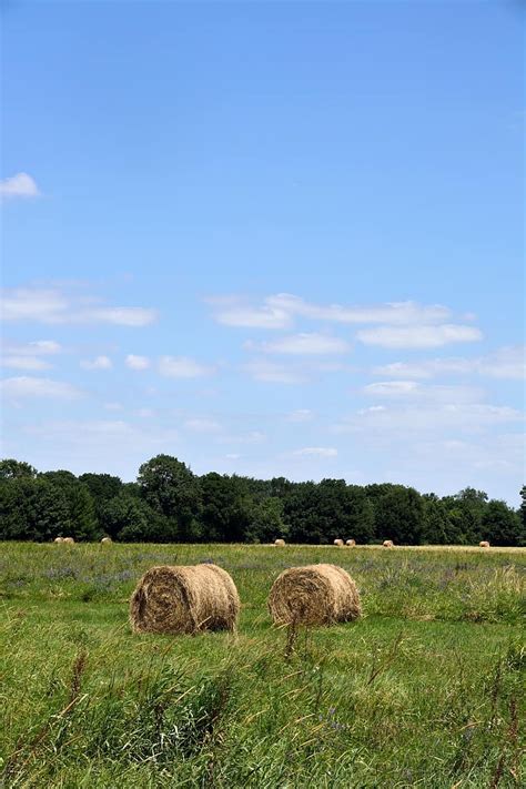 Landscape Green Meadow Heaven Hay Bale Nature Grass Background