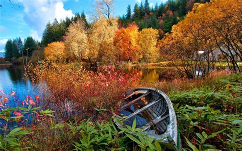Lake Nature Canoes Trees Fall Landscape Wallpapers Hd Desktop