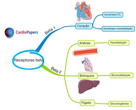 Receptores Alfa E Beta Adrenergicos