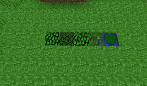 How do people achieve that? Green Grass Minecraft Texture Pack
