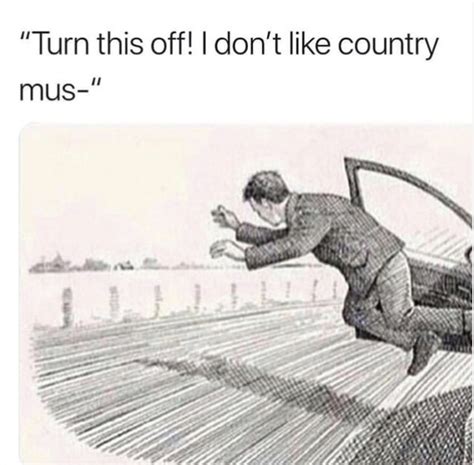 These Country Memes Will Have Us Saying Yeeeee Haaaaaaw Blame It On
