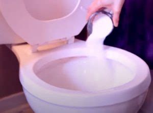 How To Clean Your Toilet Bowl With Vinegar And Baking Soda CleanCrispAir