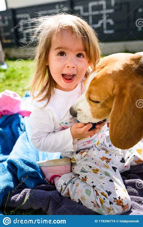 Child Playing With Beagle Dog Best Friend In Backyard On Sunny Spring