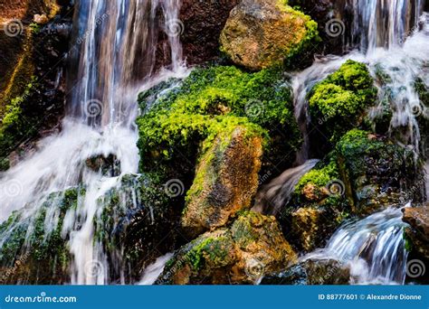 Clean Waterfall With Algae Stock Image Image Of Moss 88777601