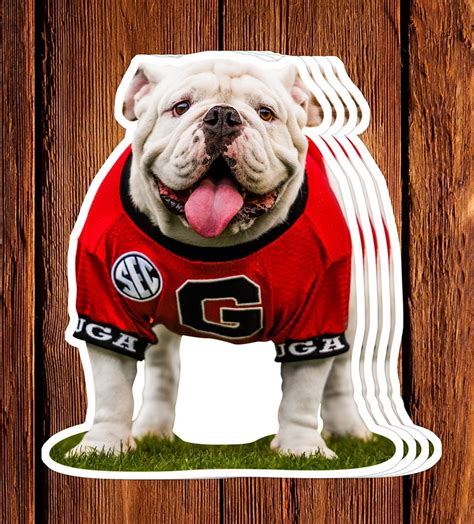 Uga Georgia Bulldogs Decal Sticker Uga X Mascot Premium Photo Etsy