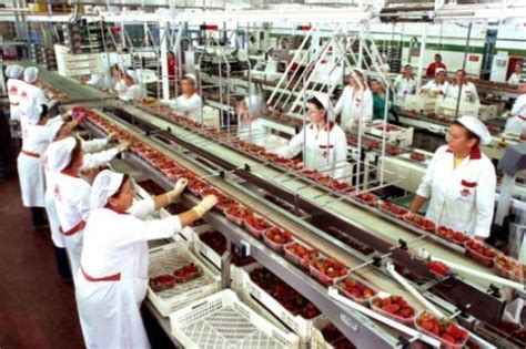 Some companies are in the business of growing and processing the raw materials for the food we prepare at home. Staff Track | Industrial Staffing Company - Manufacturing ...