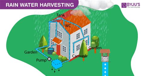 Rainwater Harvesting Diagram