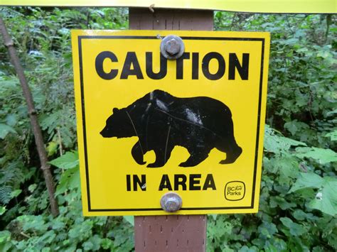Warning Sign Bears Illustration Art Teddy Bear Picnic Illustration