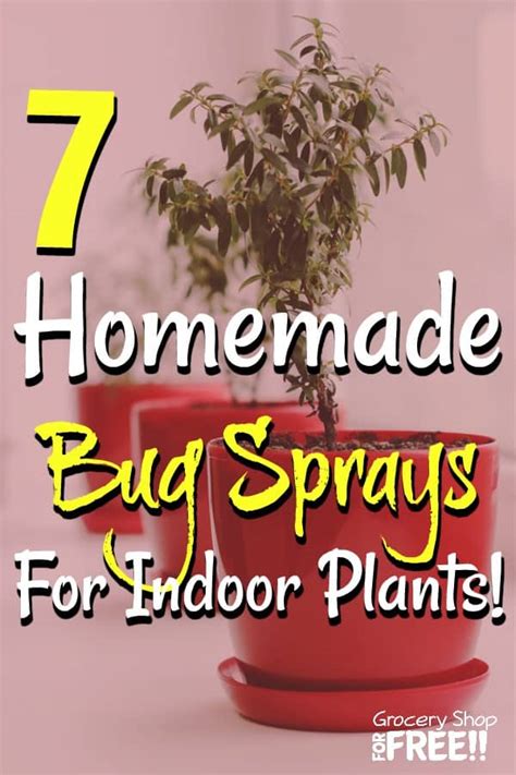 7 Homemade Bug Sprays For Indoor Plants Dian Farmer Learning To Grow