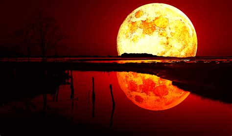 Drowning Red Moon Wallpapers Hd Desktop And Mobile Full Hd 193