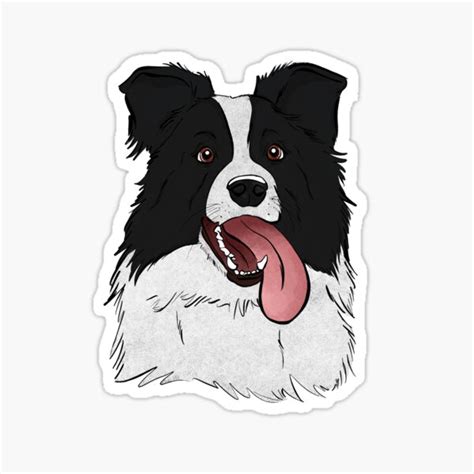 What A Happy Border Collie Sticker For Sale By Rmcbuckeye Redbubble