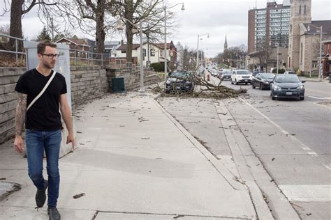 High Winds Cause Havoc In Guelph 22 Photos Guelph News