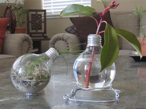 After An Hour Or So I Made My First Light Bulb Terrarium And Vase
