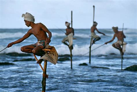 Stilt Fishermen Weligama Sri Lanka 1995 Magnum Photos Store