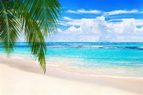 Tropical Island Landscape Exotic Sand Beach Turquoise Sea Water Ocean