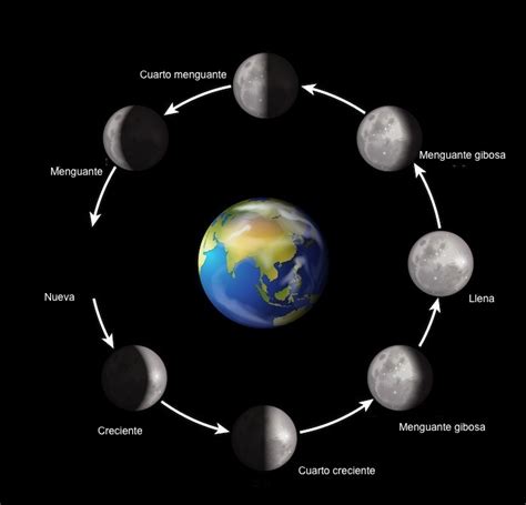Fases De La Luna Información Y Características Geografía