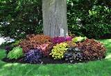 Flower Bed Plants For Shade Images