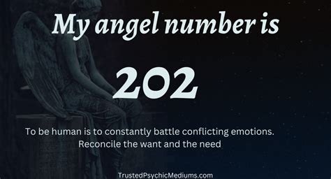 Angel Number 202 Is Wonderful Happiness And Fulfillment