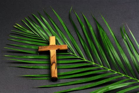 You Come Too Reflections On Palm Sunday