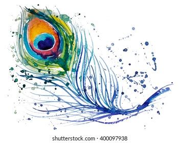 Watercolor Peacock Feather Stock Illustration Shutterstock