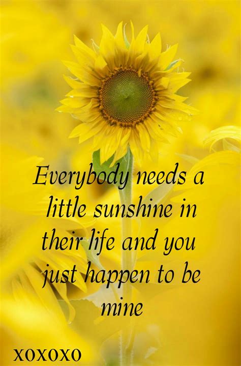 Your My Sunshine Sunshine Quotes Sunflower Quotes Funny Romantic Quotes