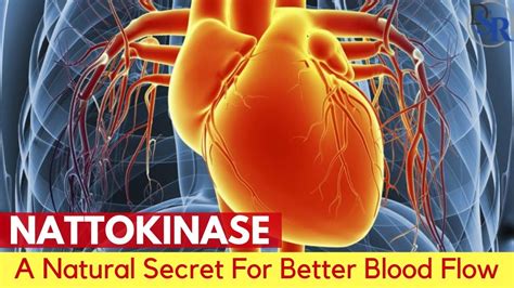 💓 Nattokinase The Natural Secret For Better Blood Flow Circulation
