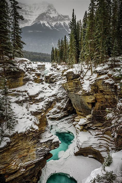 Athabasca Falls Jasper National Park Photograph By Yves Gagnon