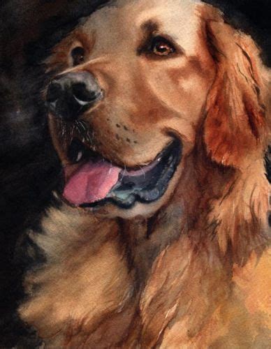 Giclee Print Golden Retriever Dog Watercolor Painting Art Pet Portrait