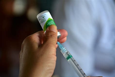 Vacinação contra gripe é ampliada para toda a população Portal Correio