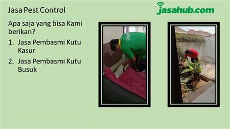 Melakukan renovasi rumah bukan sekedar ingin mengubah penampilan saja. Jasa Perbaikan Rumah di Blimbing - YouTube