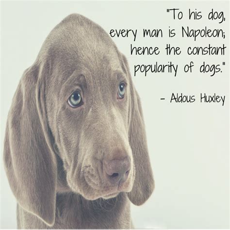 A Man And His Dog Quotes Bokkors Marketing