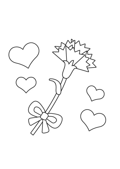 Carnation)은 석죽목 석죽과에 속하는 여러해살이풀이다. 공유 카네이션 밑그림, 카네이션 색칠공부 - 홈스쿨 어버이날 ...