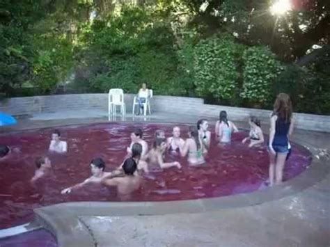 This hd wallpaper 40 graduation pool party invitations has viewed by 3 invitations graduation hat pool float graduation pool jump graduation pool party graduation pool party decorations. 8th grade graduation pool & FOAM Party - YouTube