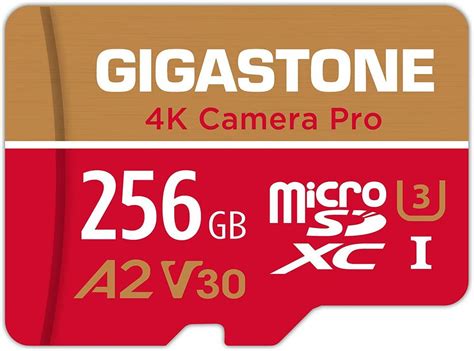 Check spelling or type a new query. 9 Best SD Cards for GoPro Cameras for 2021 | 22 Words | 22 Words