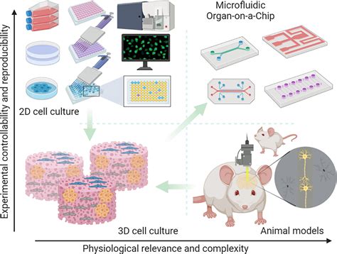 Organ On A Chip A New Paradigm For Drug Development Cherry Biotech