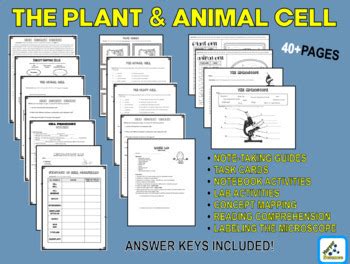 Featured in this printable worksheet are the diagrams of the plant and animal cells with parts labeled vividly. Cells Worksheet Packet w/ Answer Keys (Plant and Animal ...