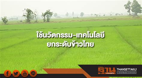เกษตรฯใช้นวัตกรรม-เทคโนโลยียกระดับข้าวไทย