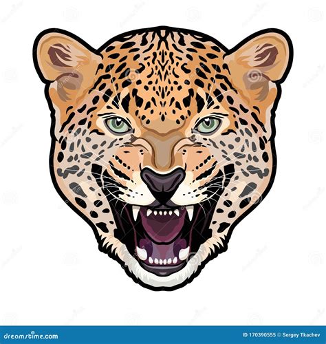 Jaguar Head Symmetrical Colored Illustration Isolated Background Stock