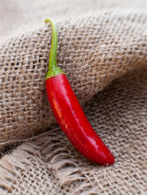 Serrano Heirloom Chili Pepper Premium Seed Packet Etsy