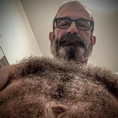 pin by gagabowie on bears over you hairy chested men hey dude muscle men
