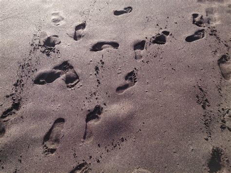 Free Images Beach Sand Rock Texture Footprint Asphalt Shadow