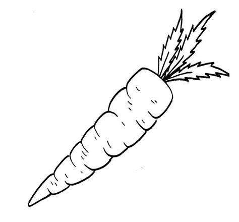 Here is a collection of 10 printable carrot coloring pages for your kids. Carrot - Black And White Outline - Coloring Page-free ...