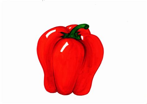 Red Pepper Drawing At Getdrawings Free Download