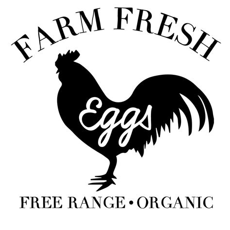 Farm Fresh Eggs Svg Cut Files Craftables